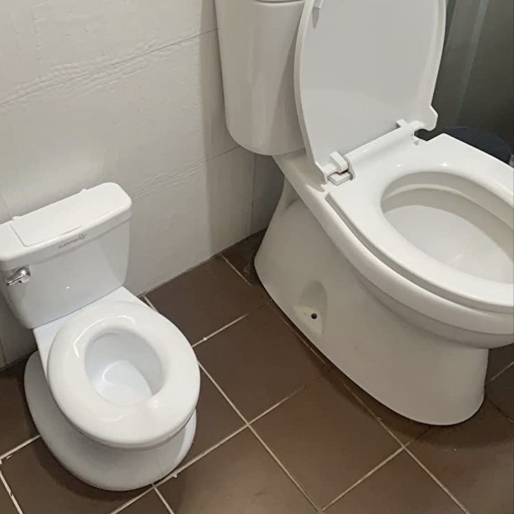 Potty Training Toilet