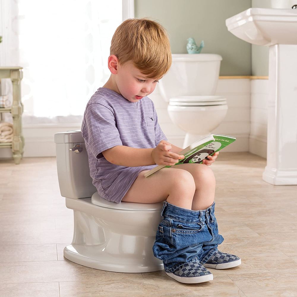 Potty Training Toilet