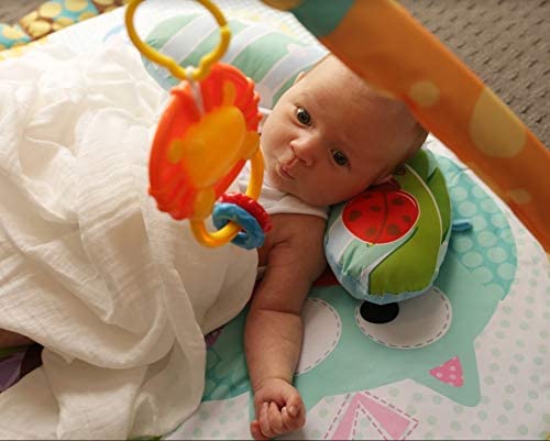 Baby Play Gym: image 5