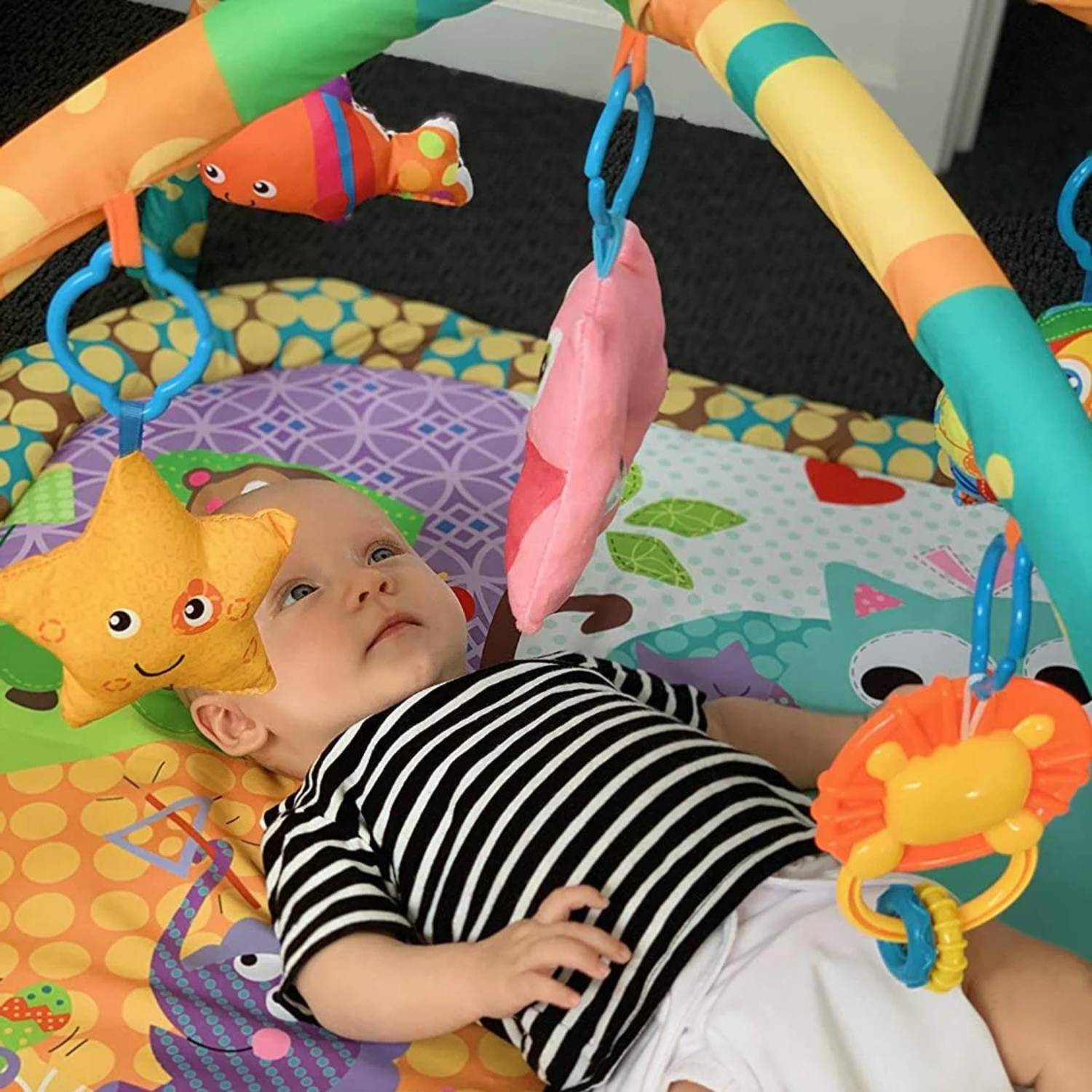 Baby Play Gym: image 15
